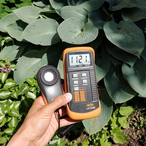 sunlight meter for gardening